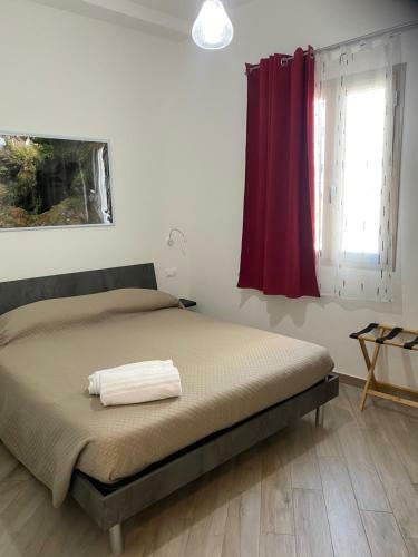 Hostal Domoblu Camere In Centro