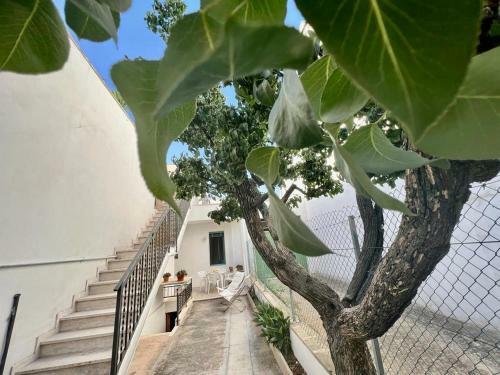 Casa Diletta