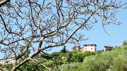 Antica Casa In Collina Con Vasta Terrazza E Panorama Sul Mare