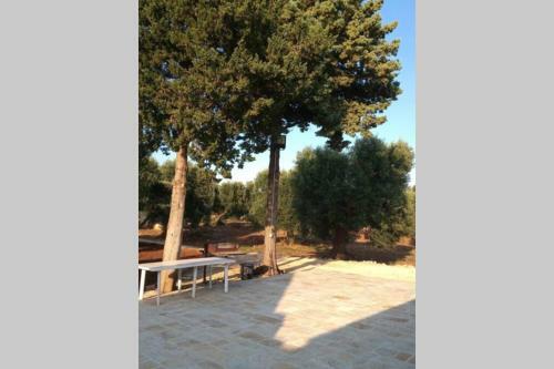 Apartamento Villa Trulli