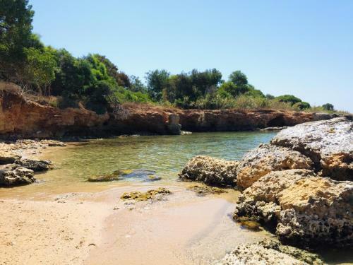 L'uliveto Sul Mare - Libeccio