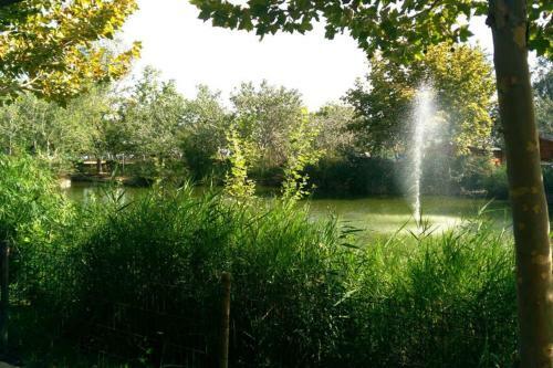 Apartamento Playa Eucaliptus En Parque Natural Delta Del Ebro