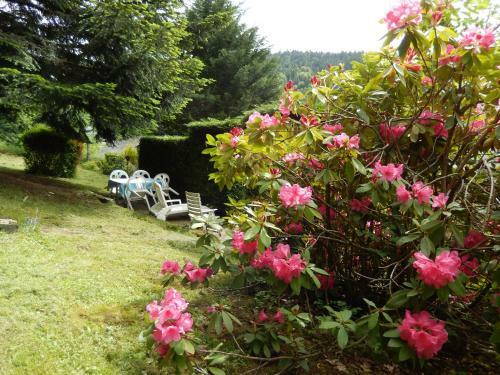 Apartamentos Appartement Avec Jardin Les Coquelicots