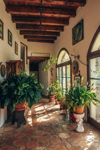 Posada Le Petit Chateau