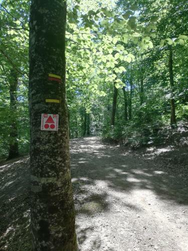 La Truite