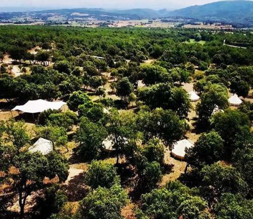 Camping Sous Les �toiles