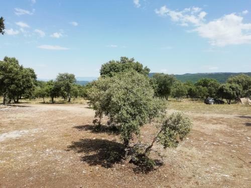 Camping Sous Les �toiles