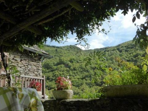 Les Glycines Du Lot