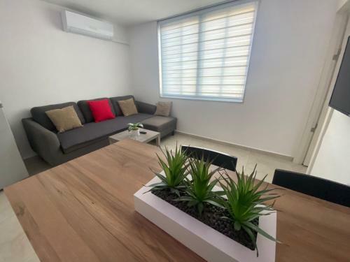 Apartamento Vamos Eilat- Brazil