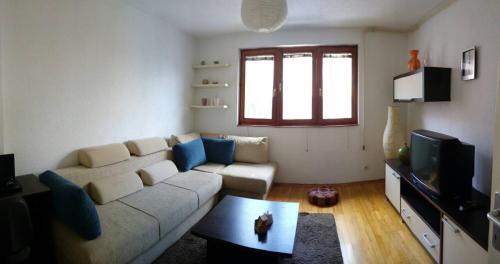 Apartment Vi?njik