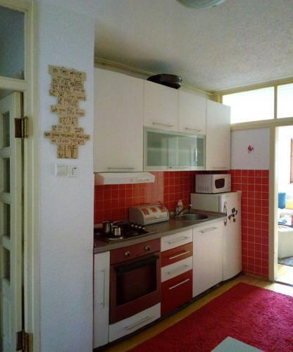Apartment Vi?njik