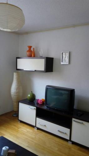 Apartment Vi?njik