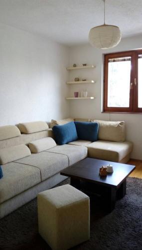 Apartment Vi?njik