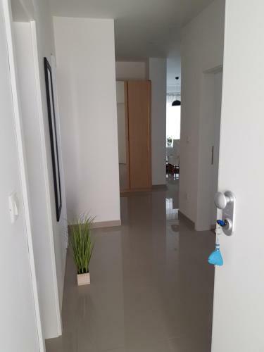 Apartman Zrno