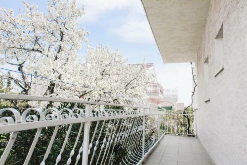 Apartments Milka