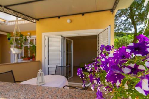Apartman Haus Maja
