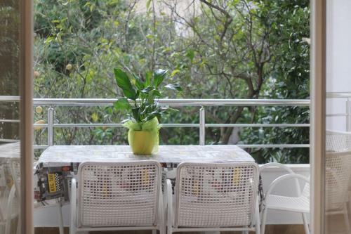 Apartamentos House Vera
