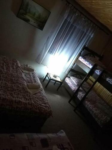 Stevan's House