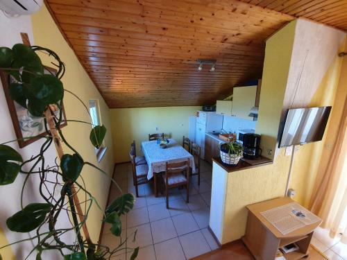Apartment Dajana 4+2