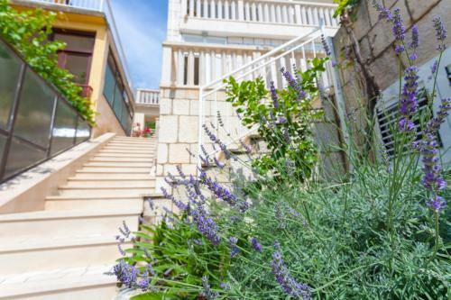 Hostal Guest House Ivan Ledic
