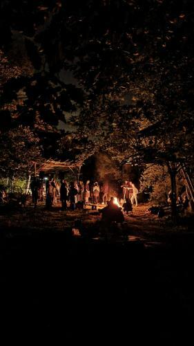 Different Belgrade Camping