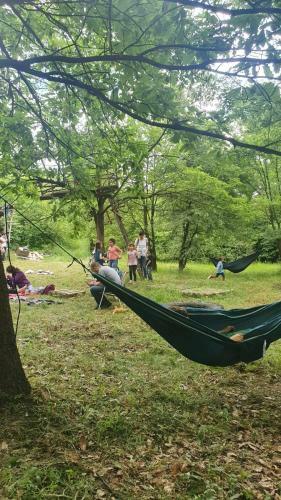 Different Belgrade Camping