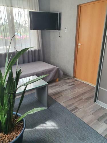 Hostal Dolphin