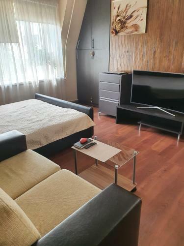 Hostal Dolphin