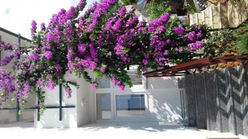 Apartmani Polonijo Nada