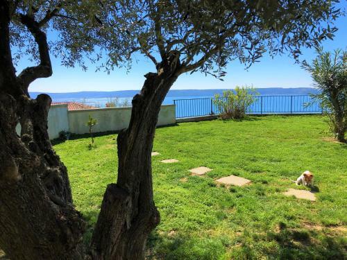 Beautiful Street Apartment - Sea View