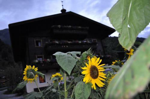 Hostal Tofererhof