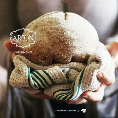 Hostal Arion Hotel
