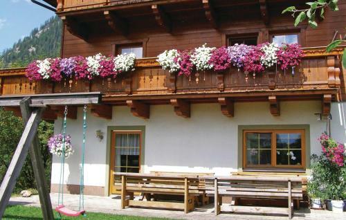 Apartment Au Grossarl IV