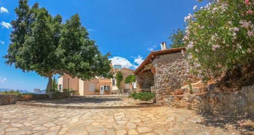 Apartamento Aloe Meli