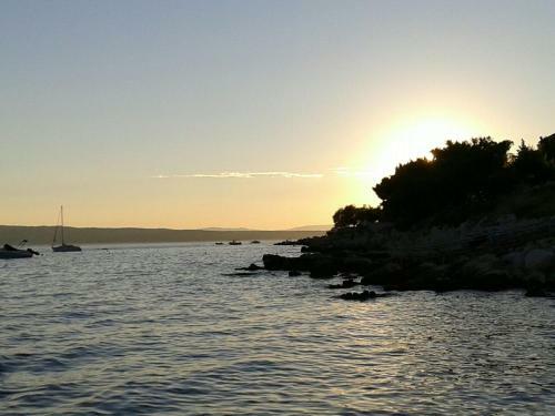 Apartamentos Villa Stefi (30m From The Sea)