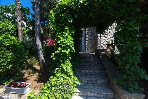 Apartamentos Villa Stefi (30m From The Sea)