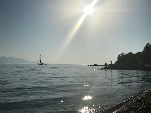 Apartmani Stula