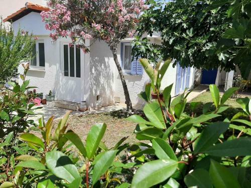 Vacation House Bimba - Pomer