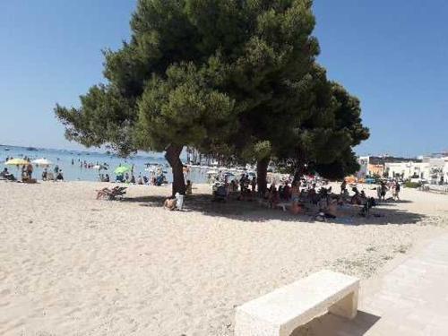 Apartamento Casa Al Mare Per Vacanza Zeus