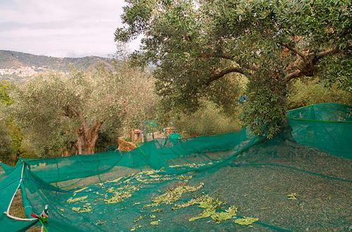 Il Borghetto Antico