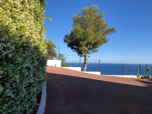 Apartamento Vue Mer.tranquilit�.cap D'ail � 10 Mn de Monaco