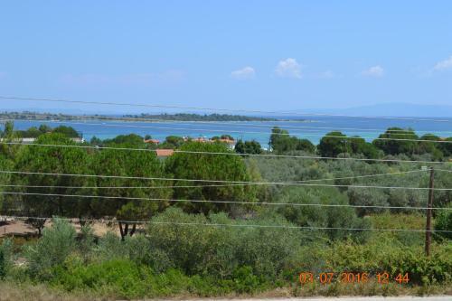 Family Villas