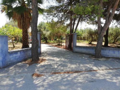 Olive Tree House