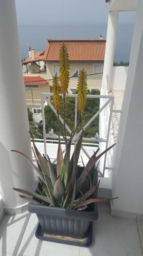 Apartamento Best Sea View In Saronida