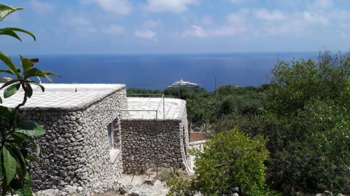 Villa Degli Ulivi