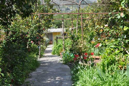 Hostal Serafina