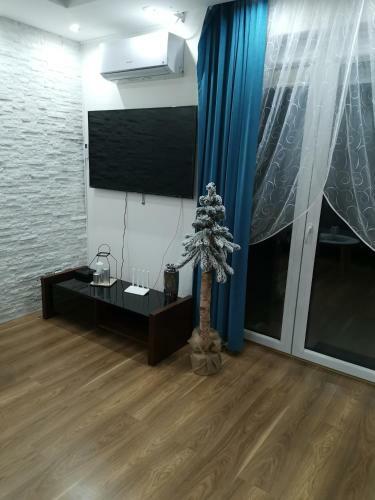 Apartament Tarasy Sobieskiego