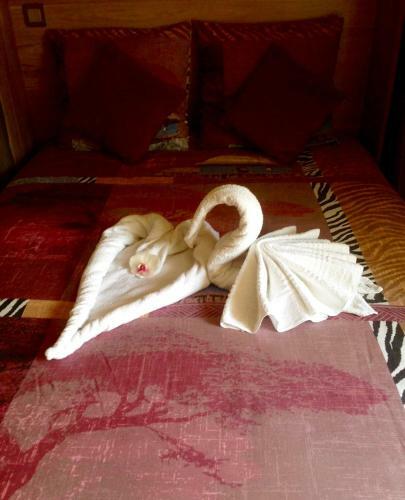 Maisonnette Dans Un Environnement Exceptionnel