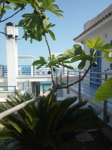 B&B Conca Del Faro