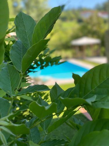Bed & Breakfast La Giorgetta